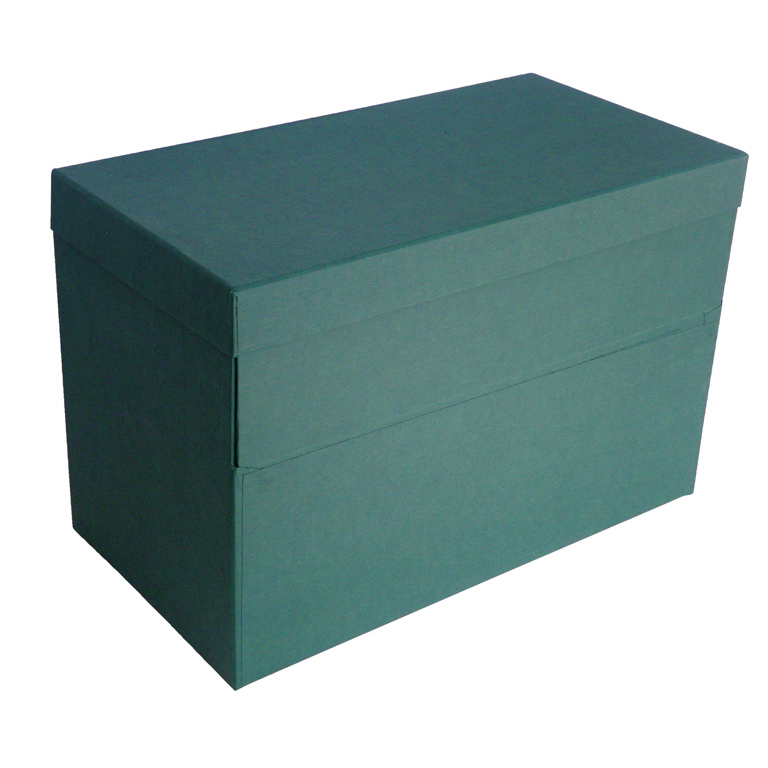 CAJA TRANSFERENCIA CARTON EXTRADURO DOBLE FOLIO 390X255X205 MM COLOR VERDE